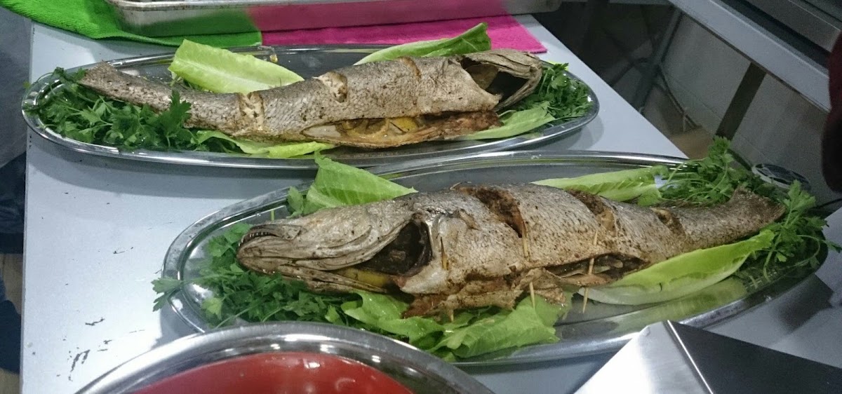 Seafood — photograph 3