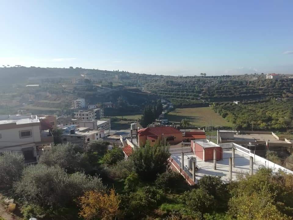 حديقة العباسية