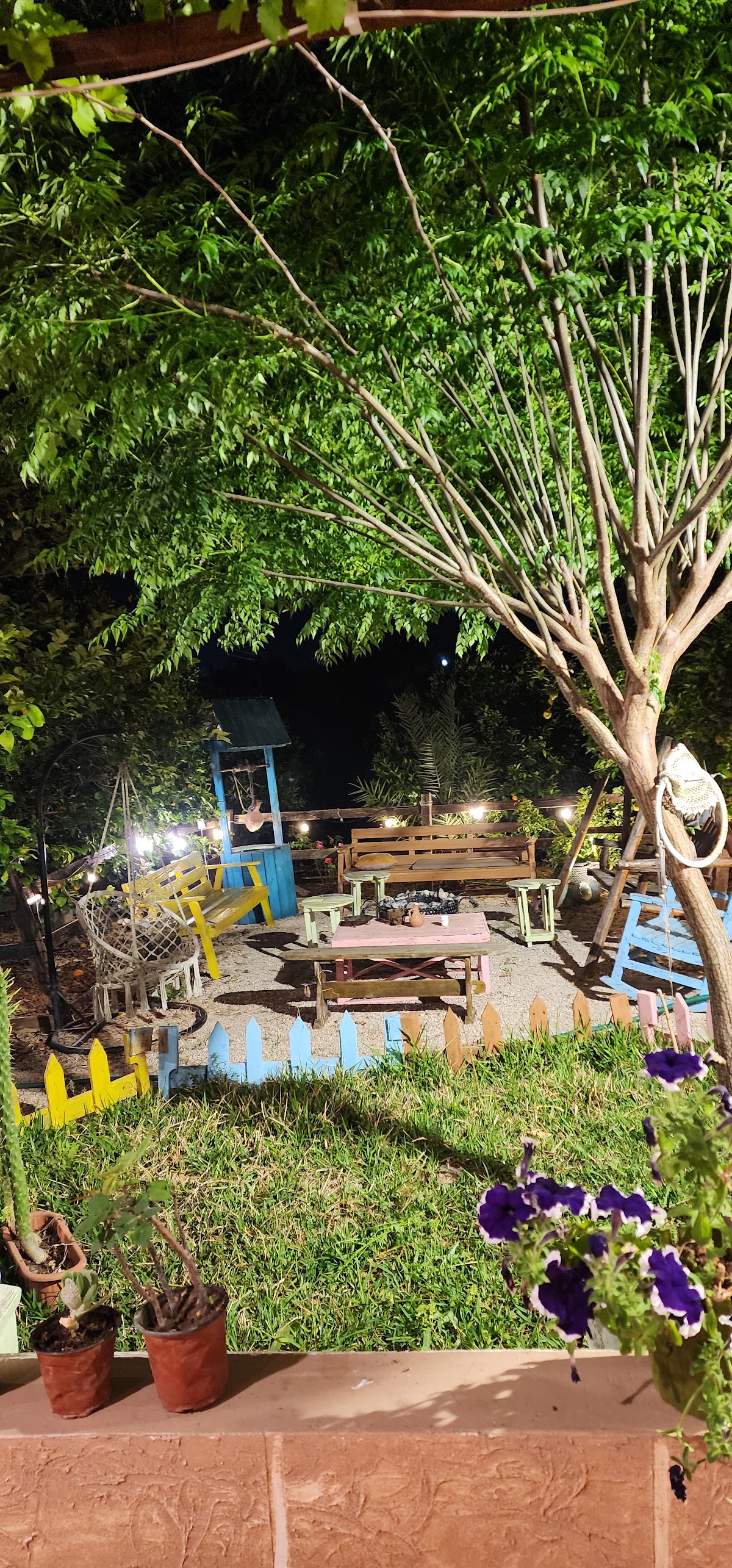 Ajami's Garden
