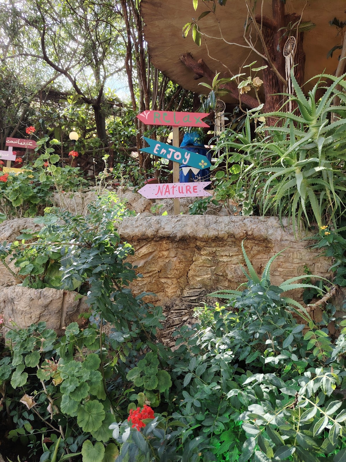 Garden — photograph 4