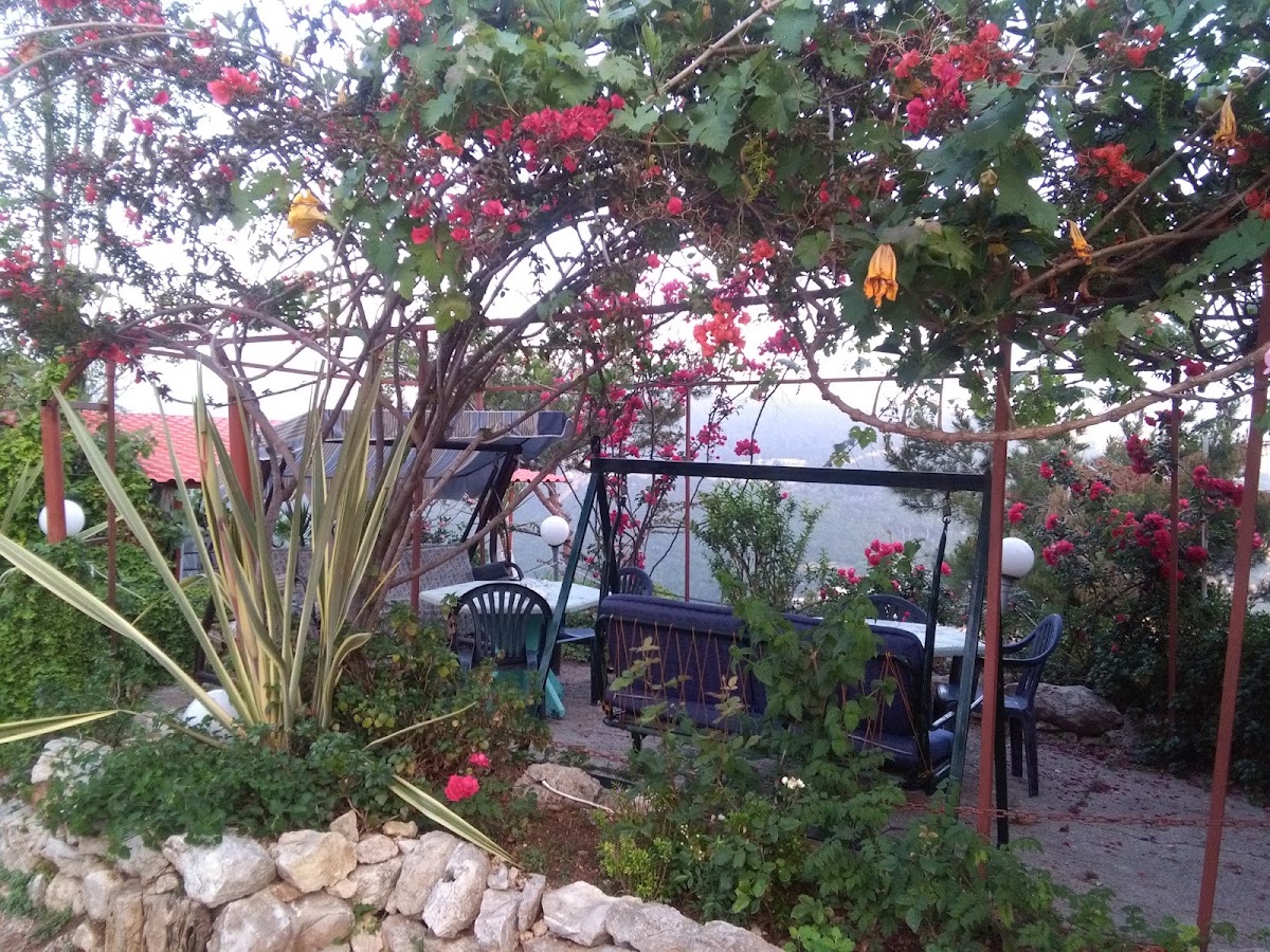 Charpi Snack - Restaurant — photograph 5