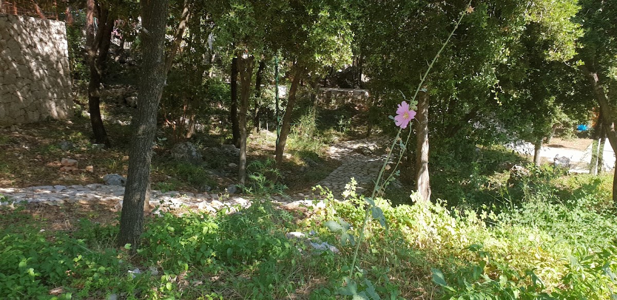 Jardin ecologique — photograph 4