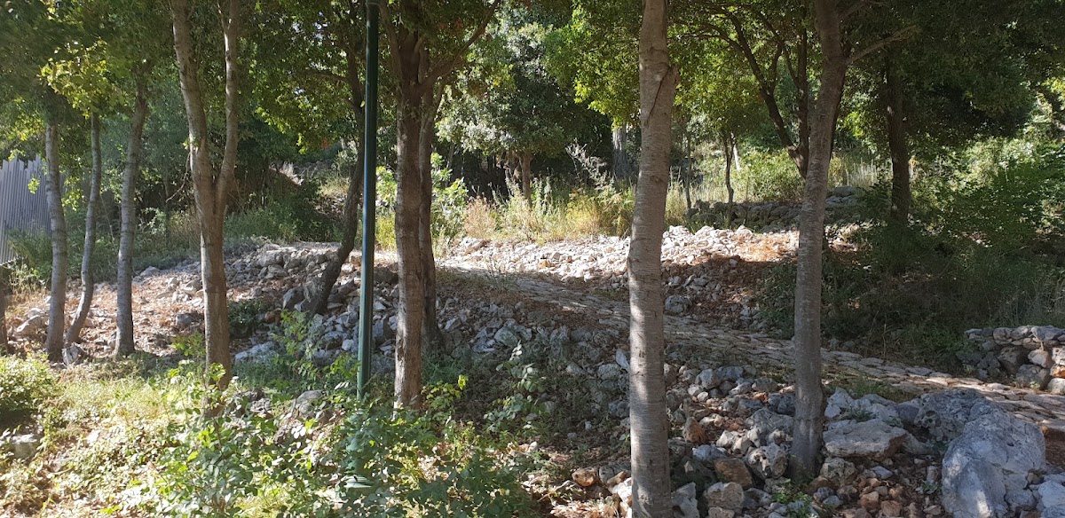 Jardin ecologique — photograph 5