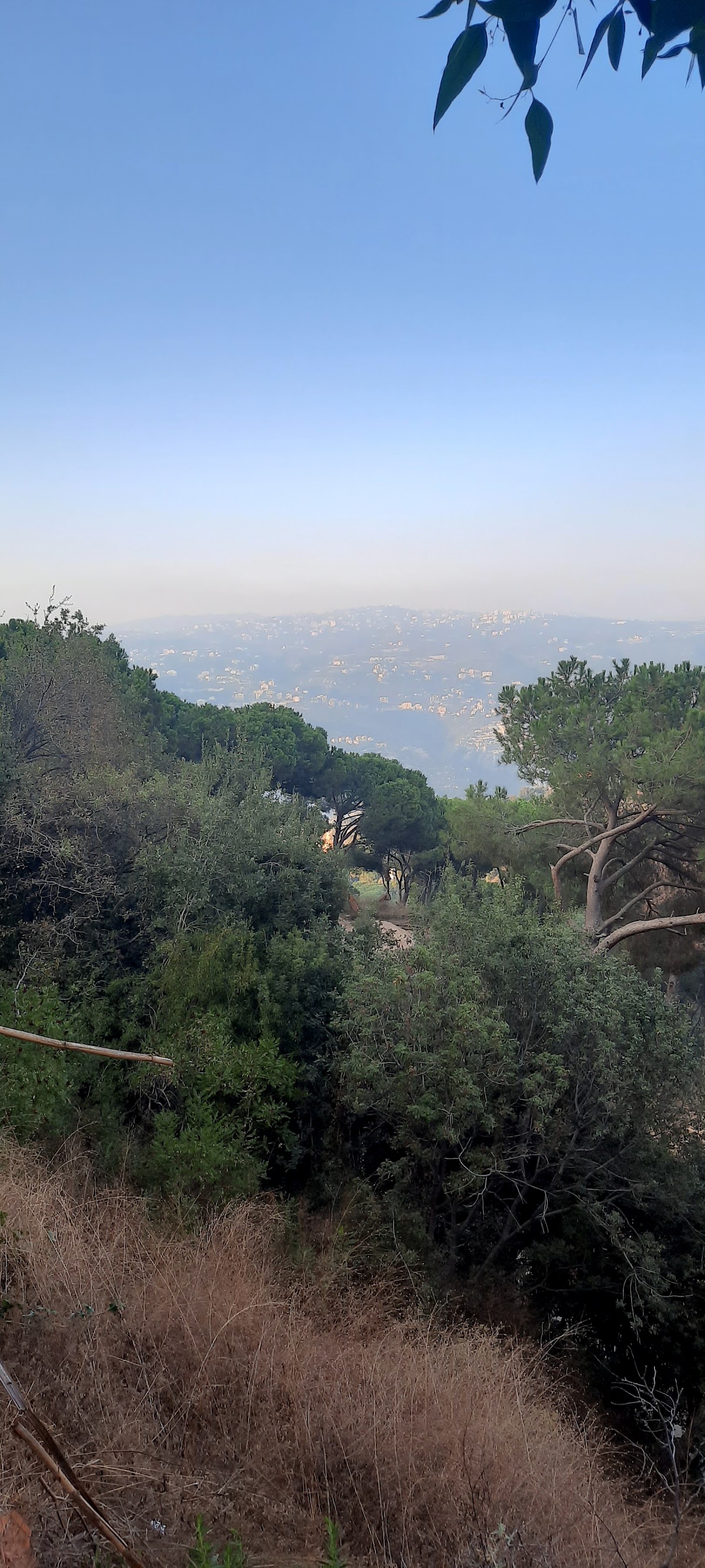 St. Anthony Monastery — photograph 5
