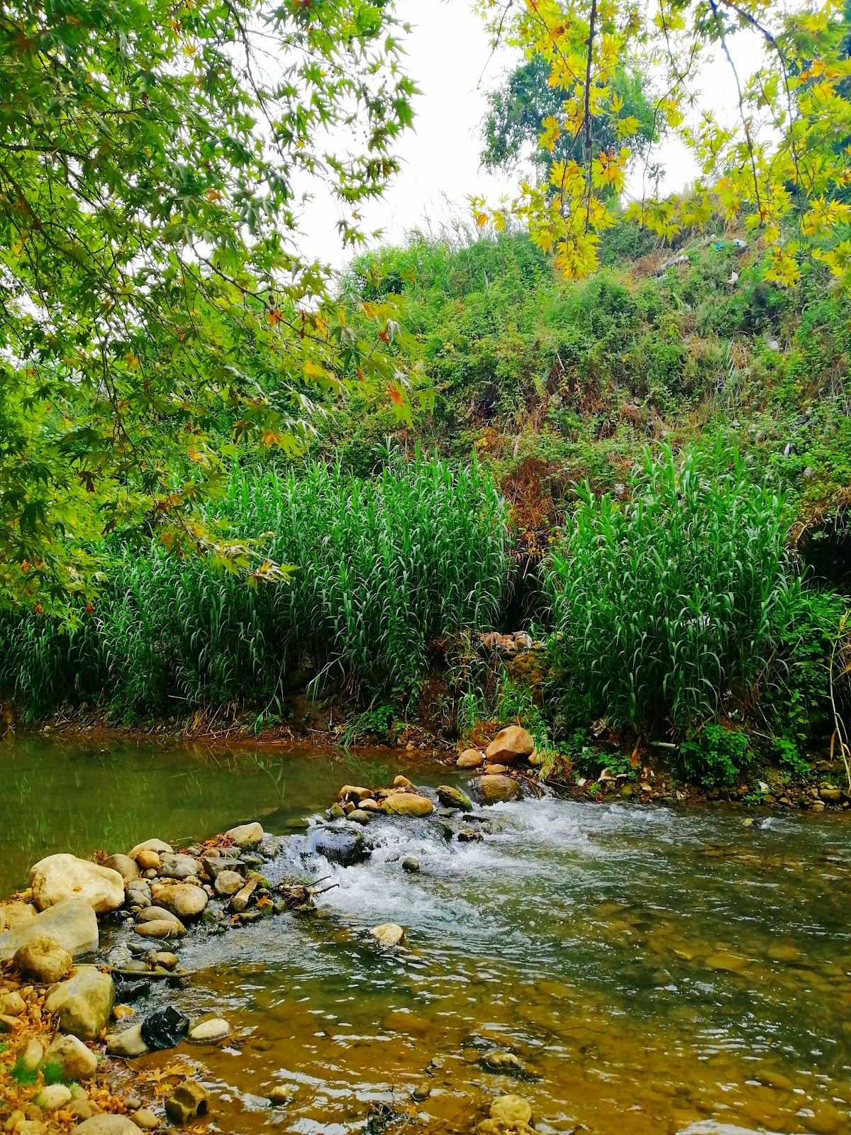 Montazah Al Sandian — photograph 4