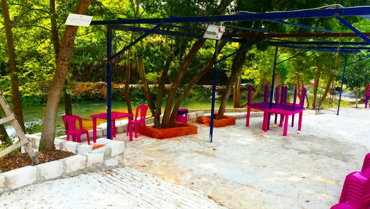 Montazah Al Sandian — photograph 6