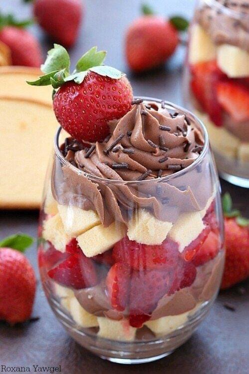 Chocolate Garden