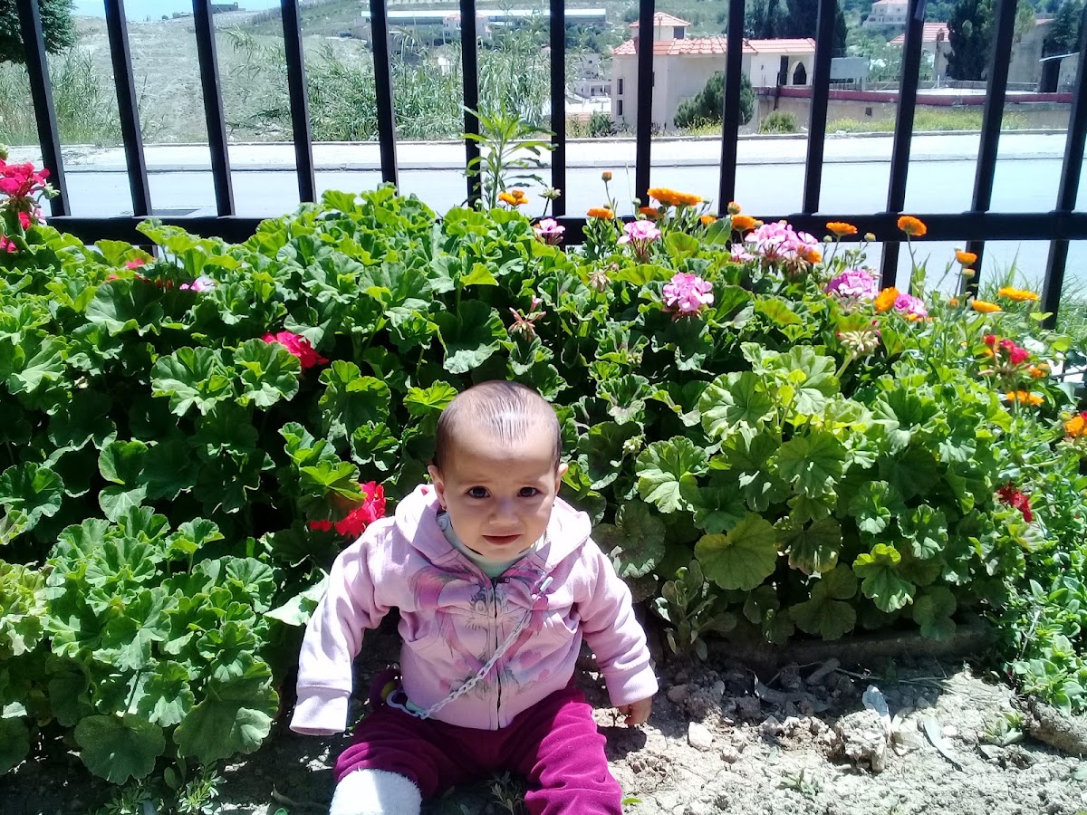Shams Al Aseel — photograph 4