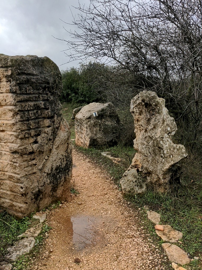 נקיקי יפתח — photograph 6