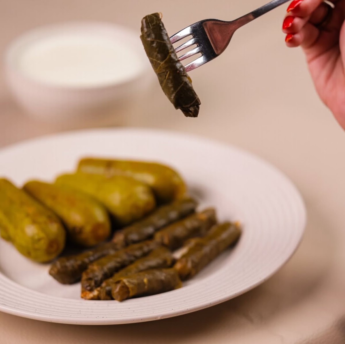 Akel Baytoute — photograph 6