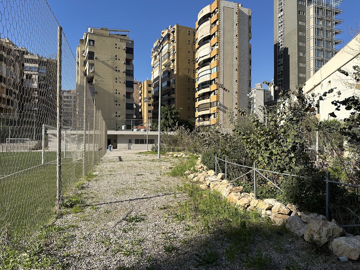 the&Forest - Phase 2 — photograph 2