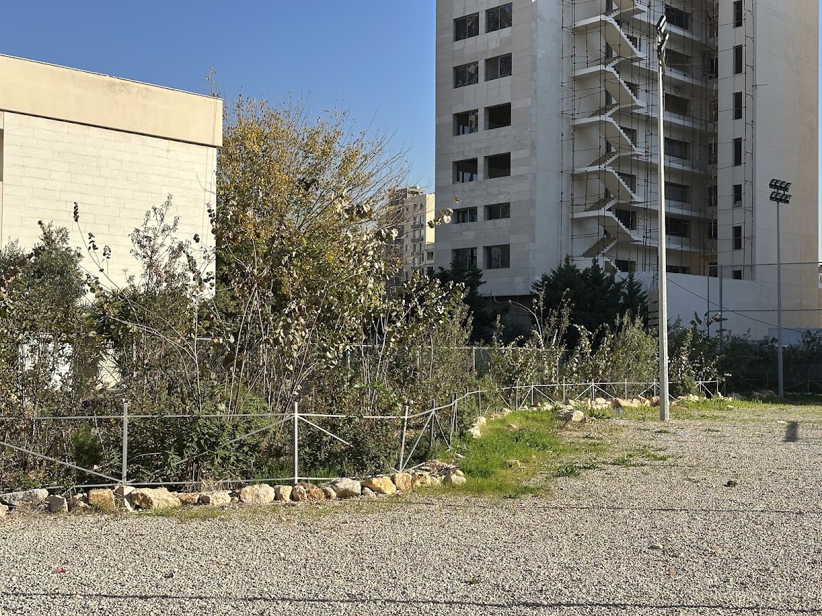 the&Forest - Phase 2 — photograph 4