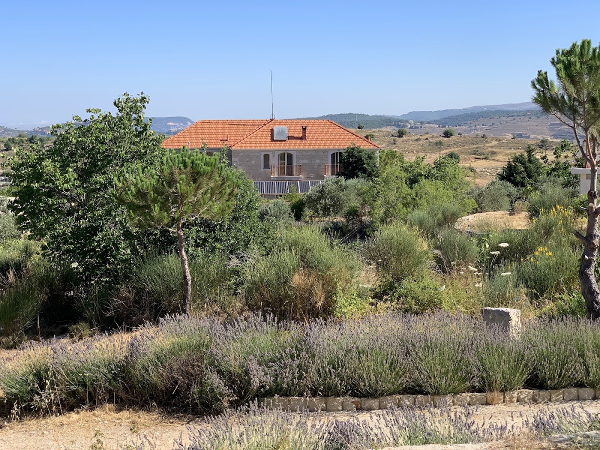 Lavender Hill Retreat — photograph 6