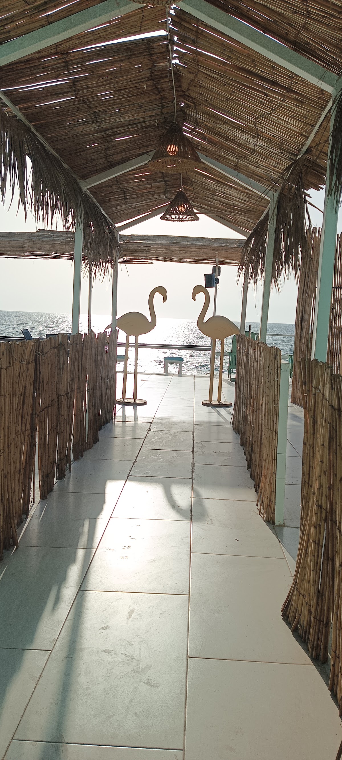 Larinabeach.jounie — photograph 6