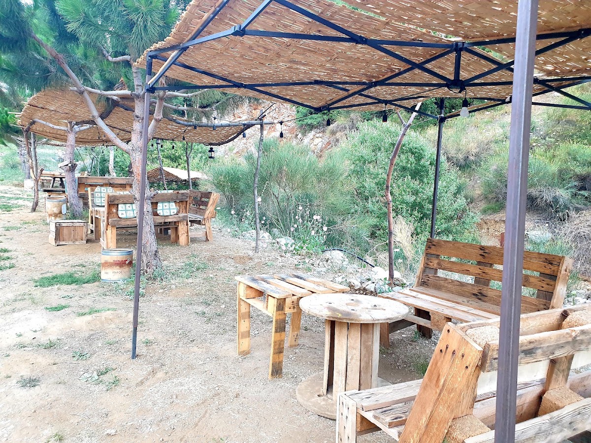 Saj Alwadi