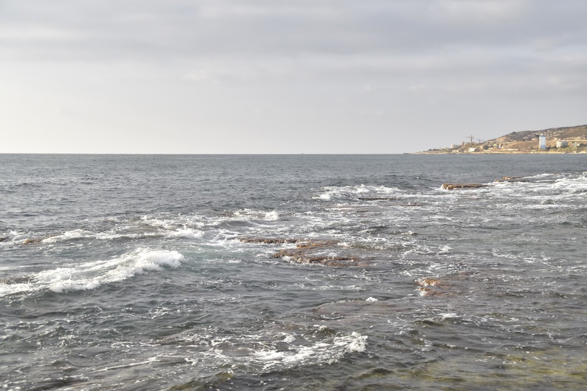 Chez Zakhia — photograph 4