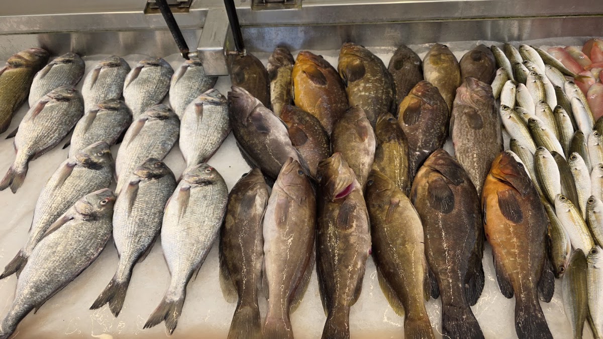 AL MINA RESTAURANT fish — photograph 3