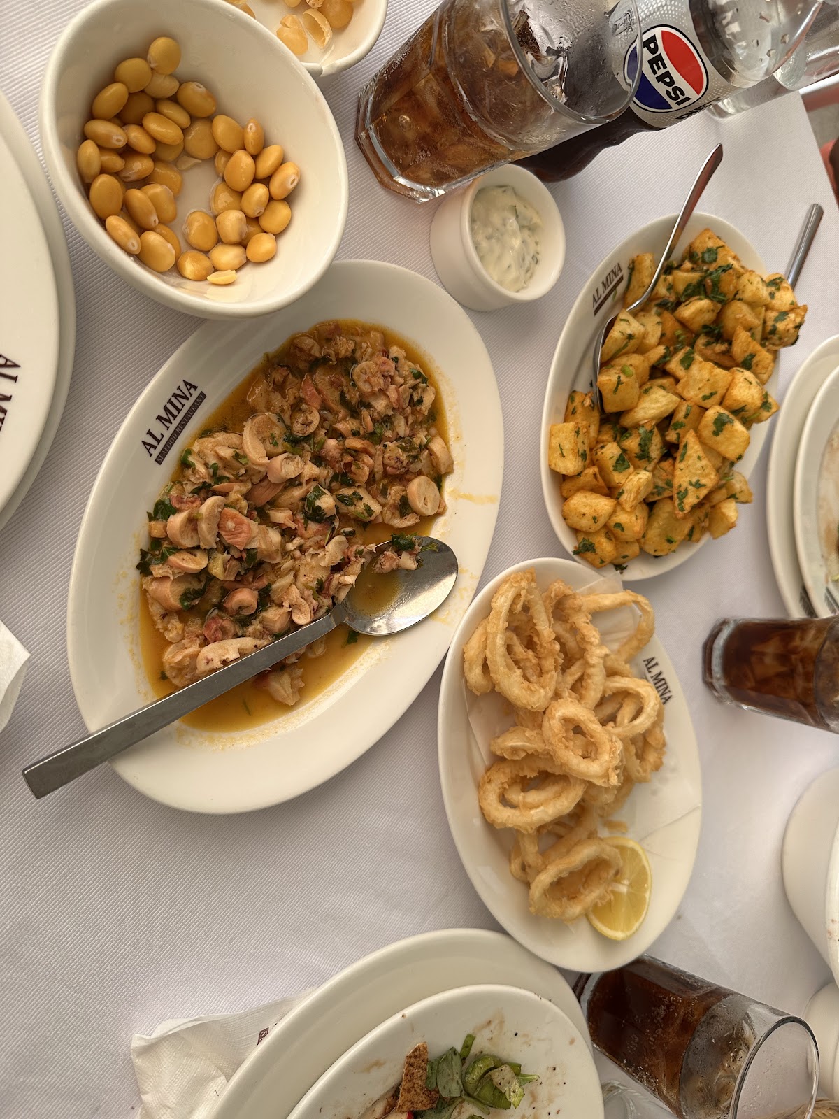 AL MINA RESTAURANT fish — photograph 4
