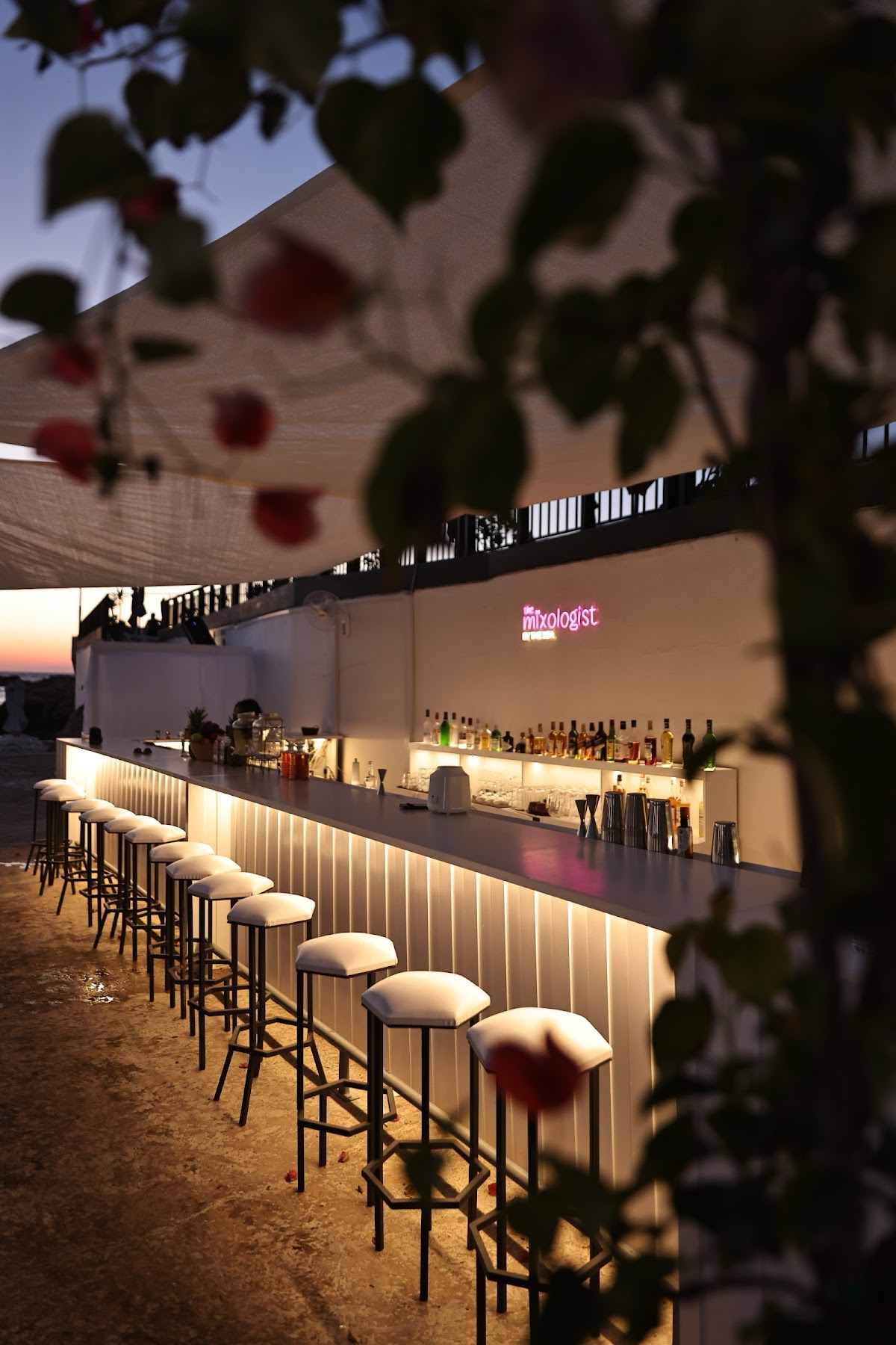 The Mixologist by the sea — photograph 6