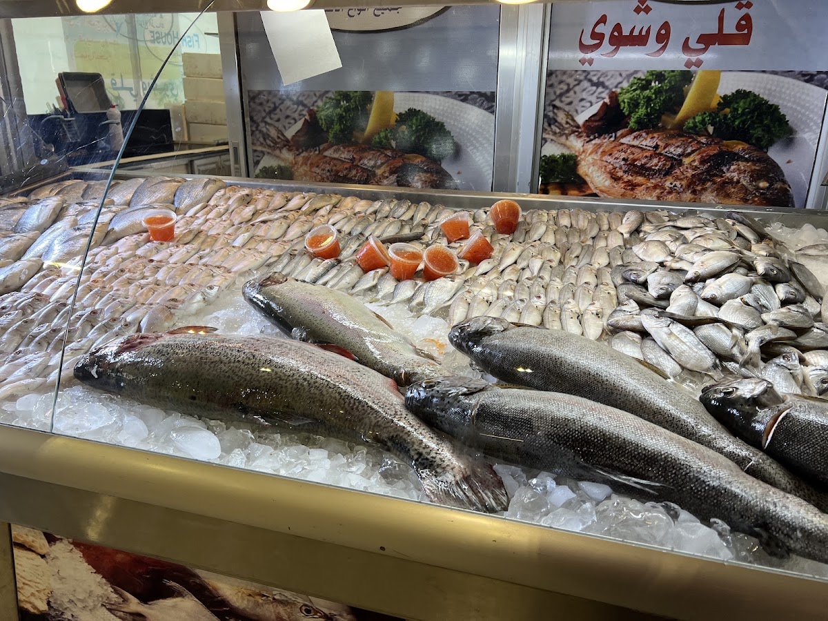 Fish House new mercato — photograph 2