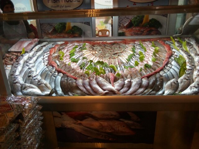 Fish House new mercato — photograph 3