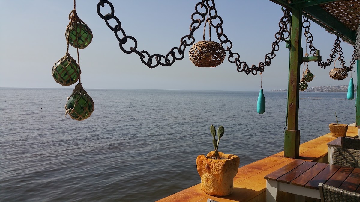Halat Sailing Club — photograph 3