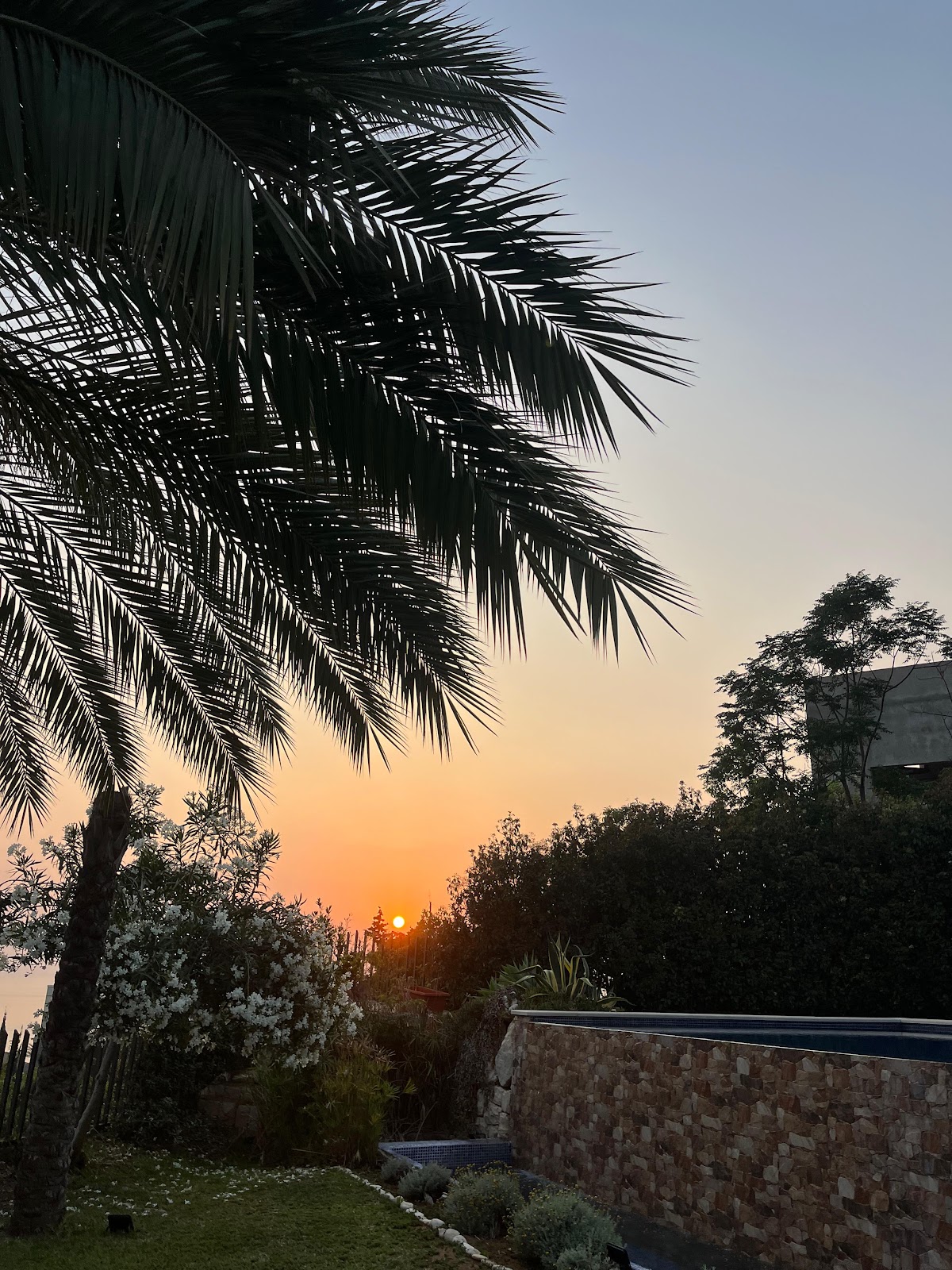 Aloha — photograph 6