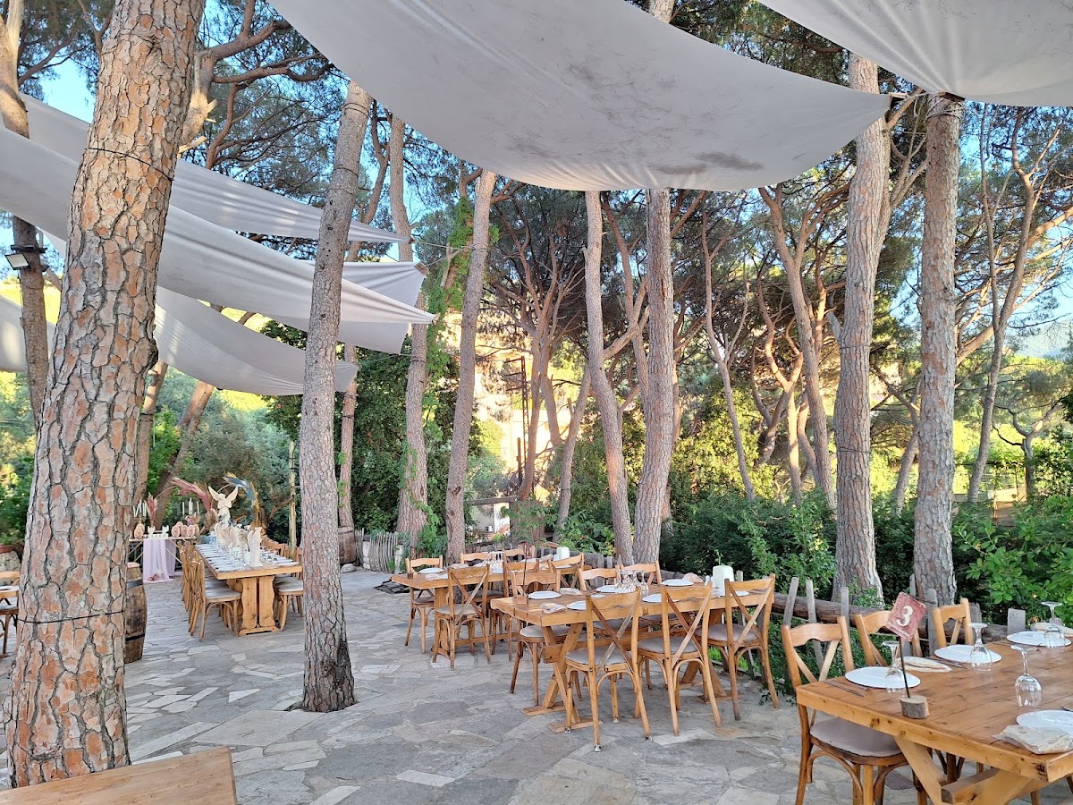 Kasser El Sanawbar - Wedding & Event Restaurant — photograph 3