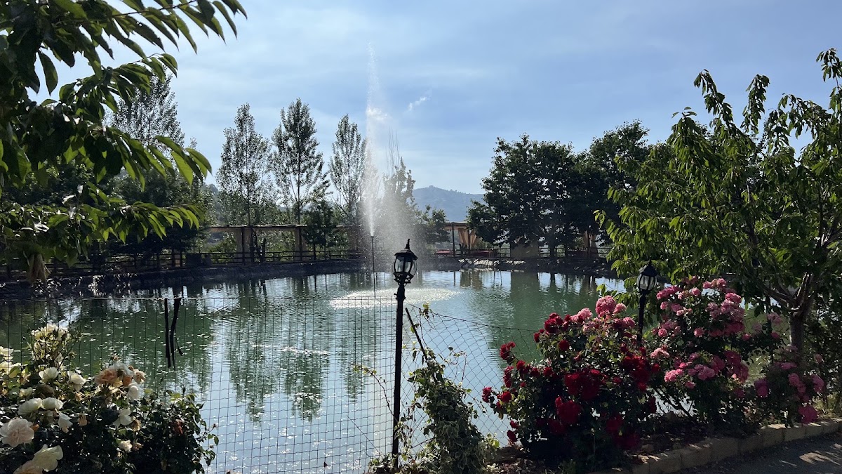 Jannet al Chaara — photograph 6