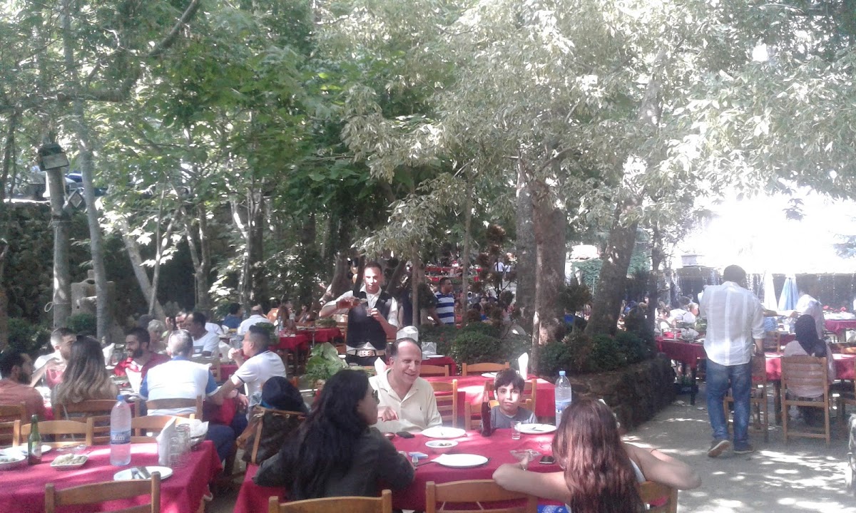 Al Siwan Restaurant — photograph 5