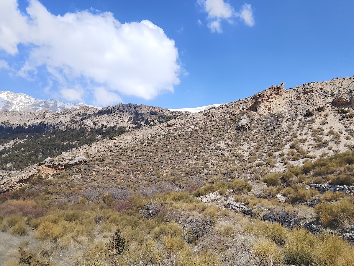 La Sierra — photograph 5
