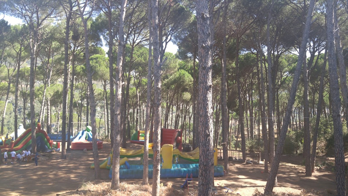 new Valley — photograph 3