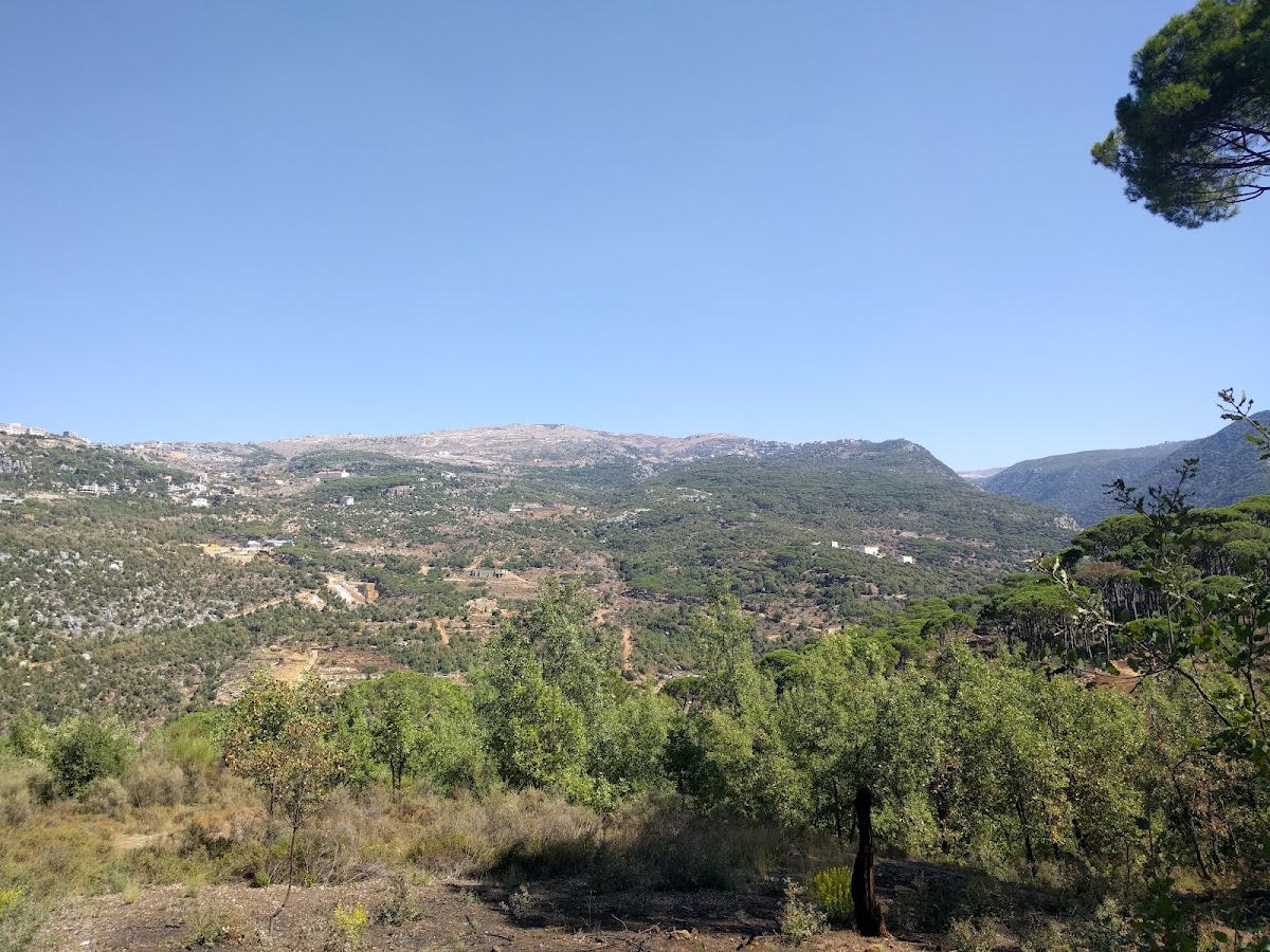 new Valley — photograph 6