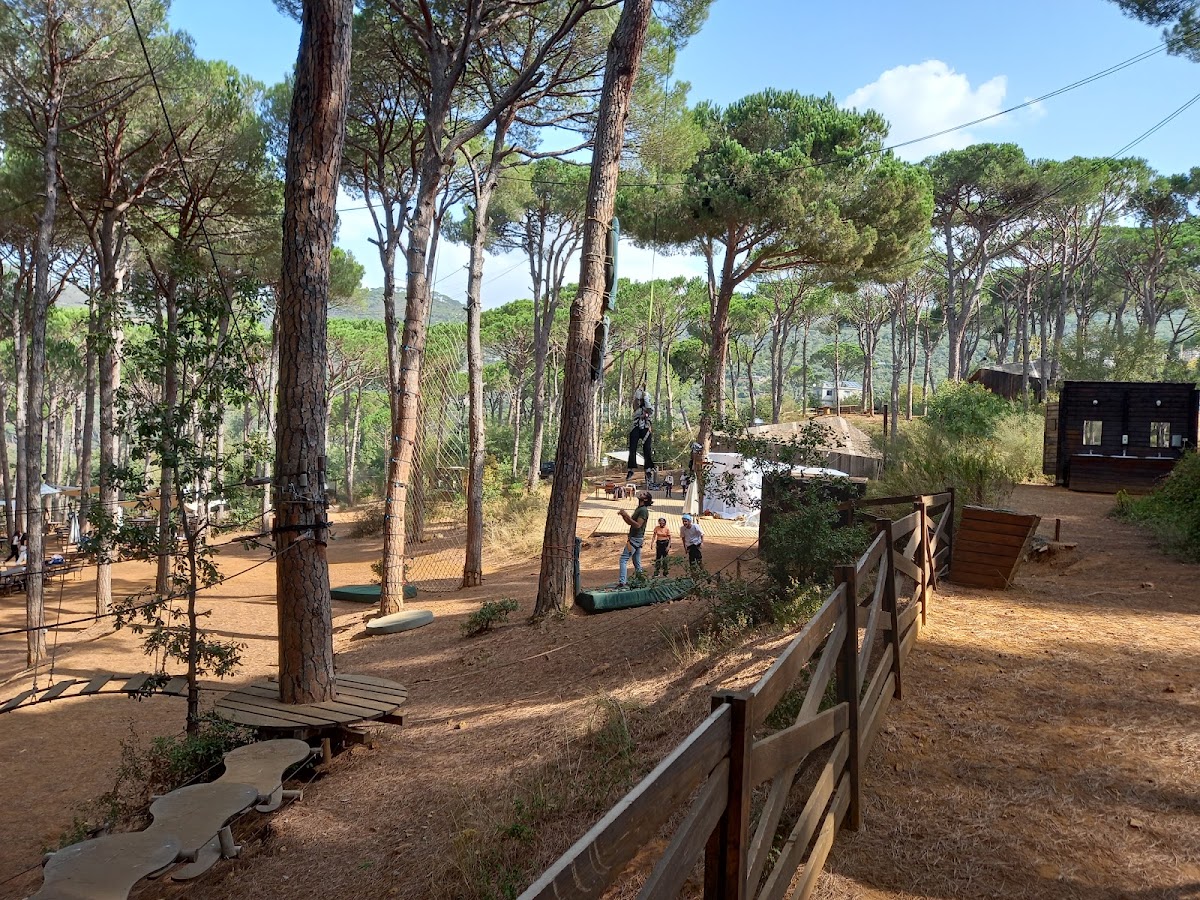 Arsoun Village Forest Adventure Park — photograph 6