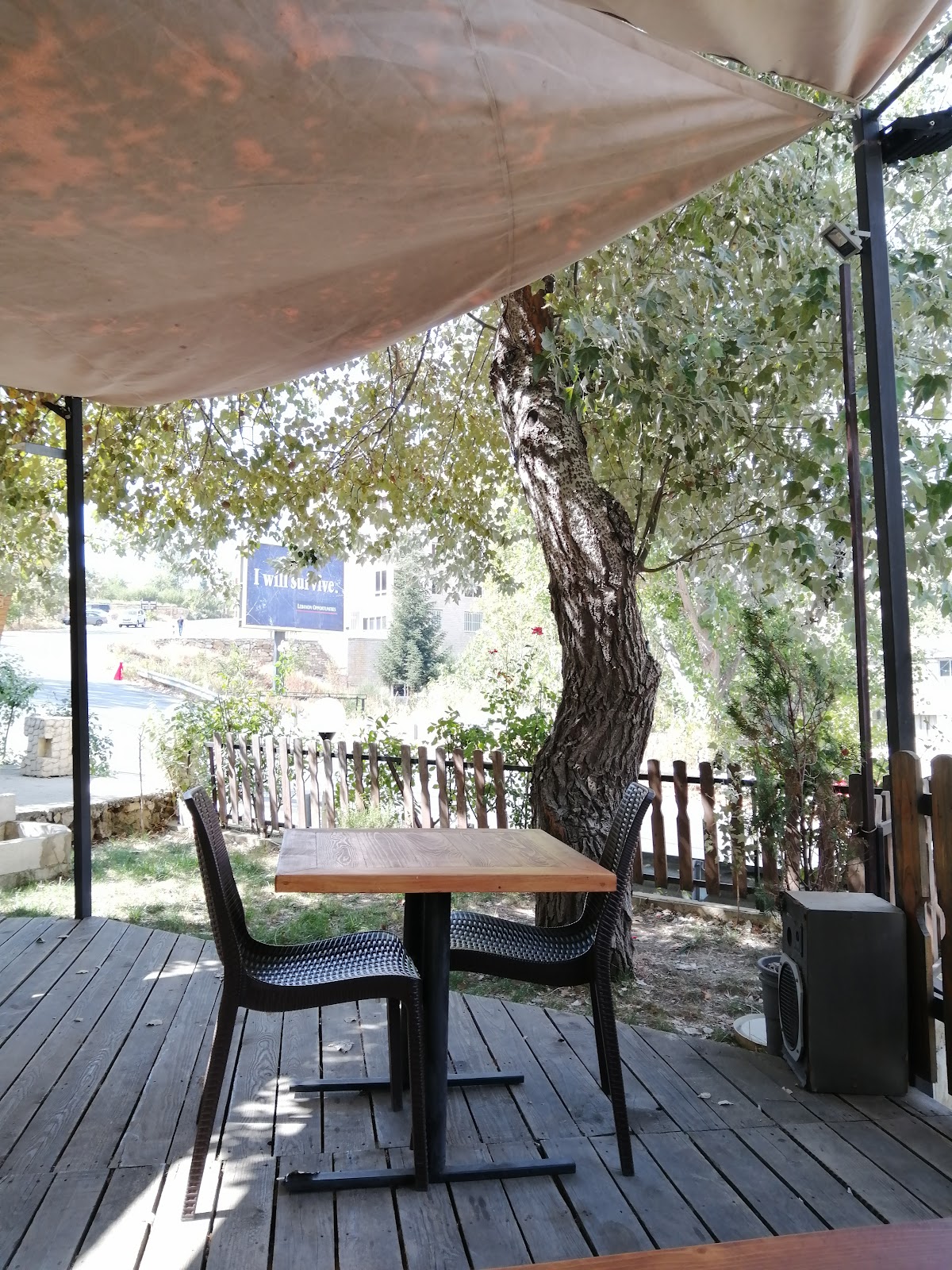 Faraya Café — photograph 5