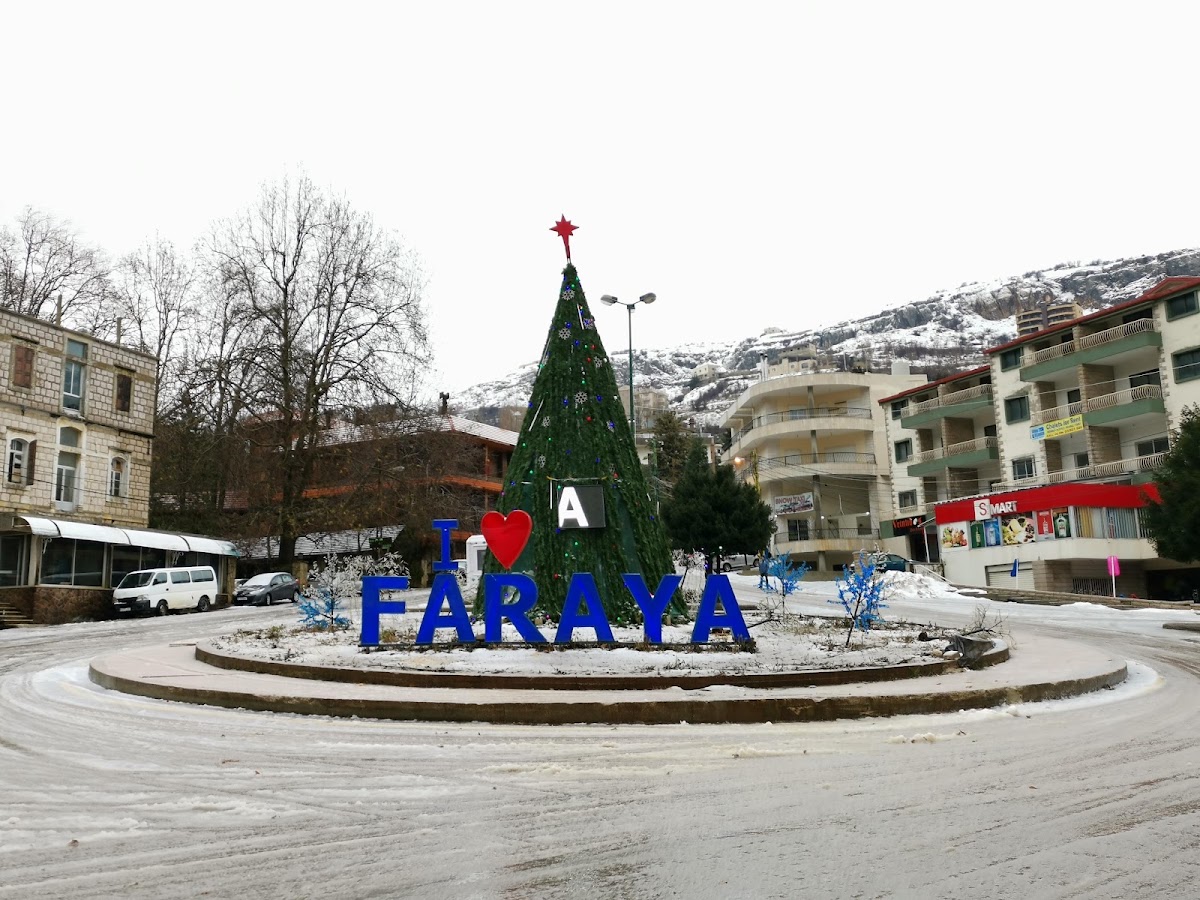 Saj Mema — photograph 4
