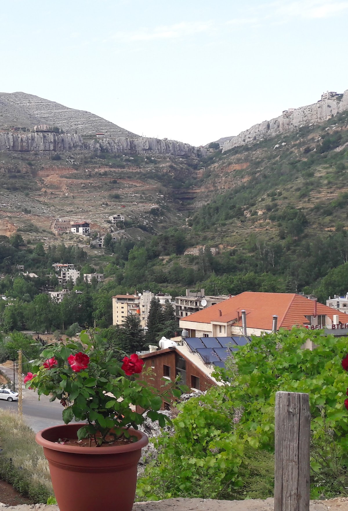 Nabee Al Dilbeh - Restaurant