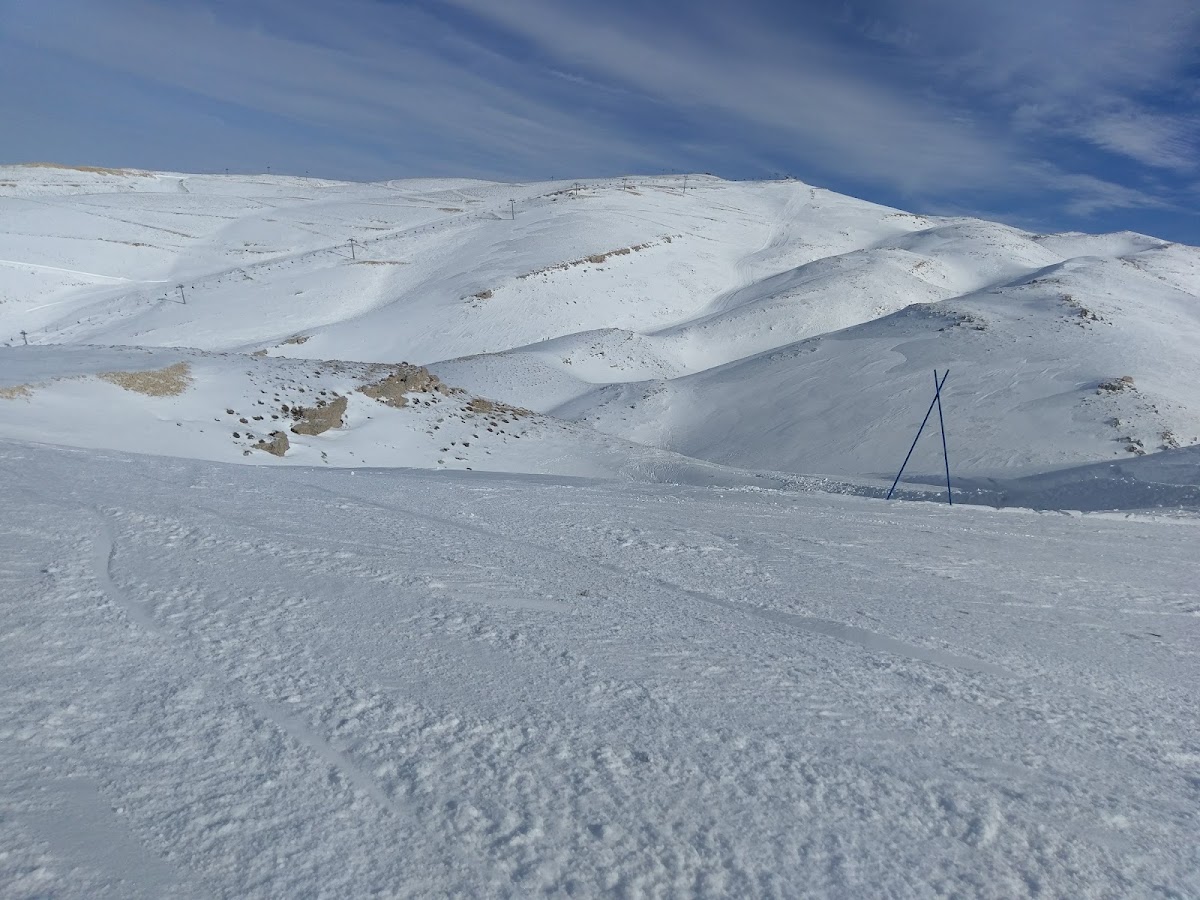 Faraya piste wardeh
