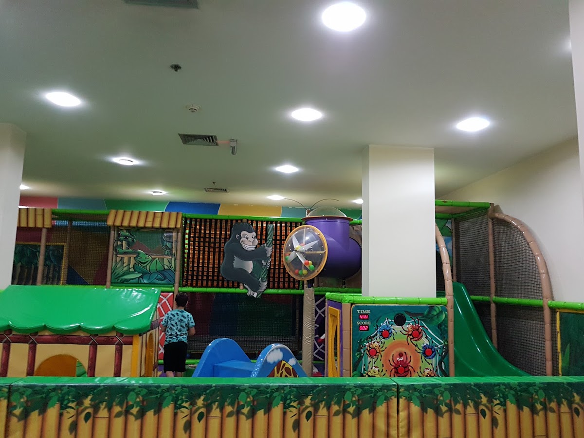 gle Gym At Mzaar Intercontinental Hotel — photograph 4