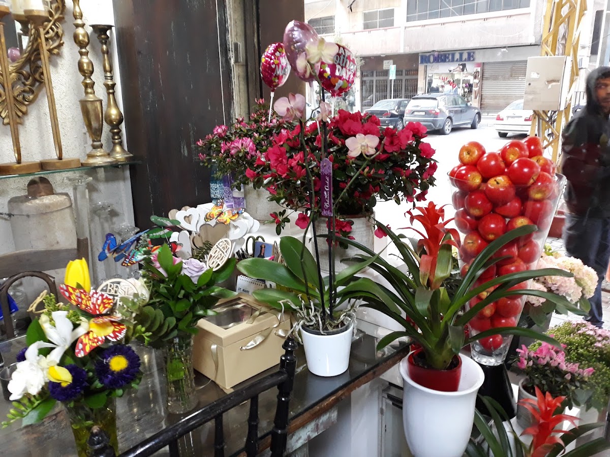 Gladioli — photograph 3