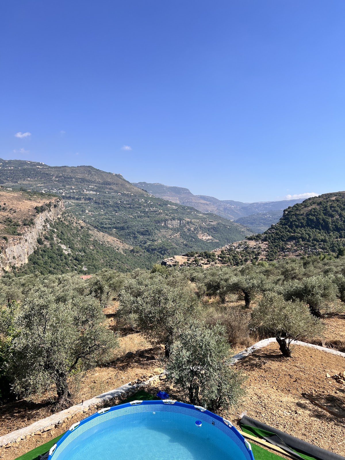 Zeytouna Land Guest House — photograph 3
