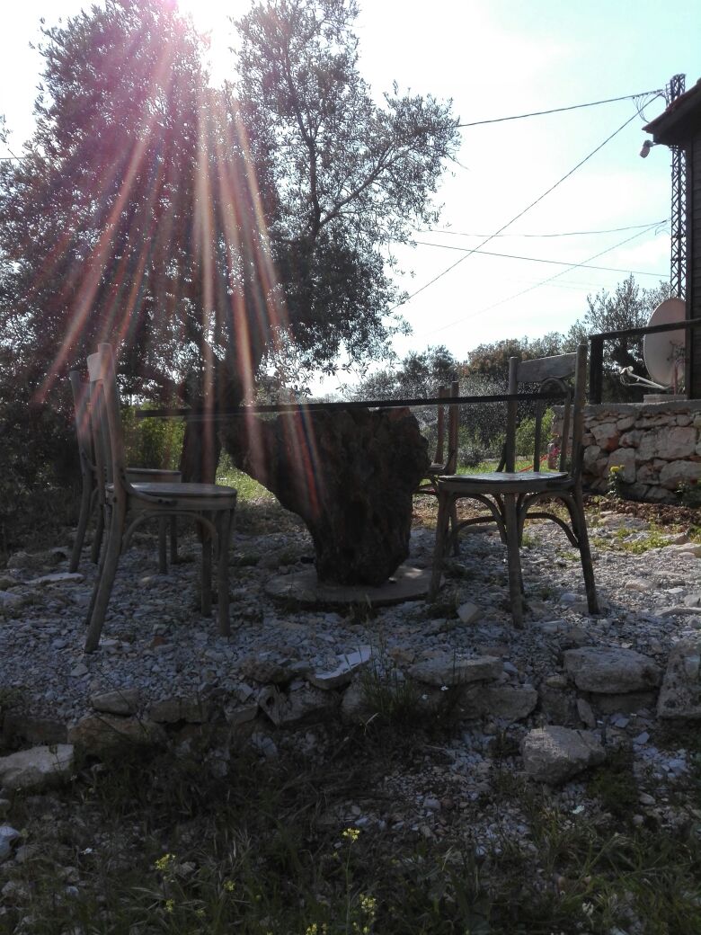 علاديم بنغلات — photograph 5