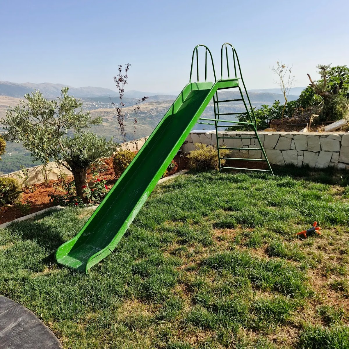 Papilio chalet