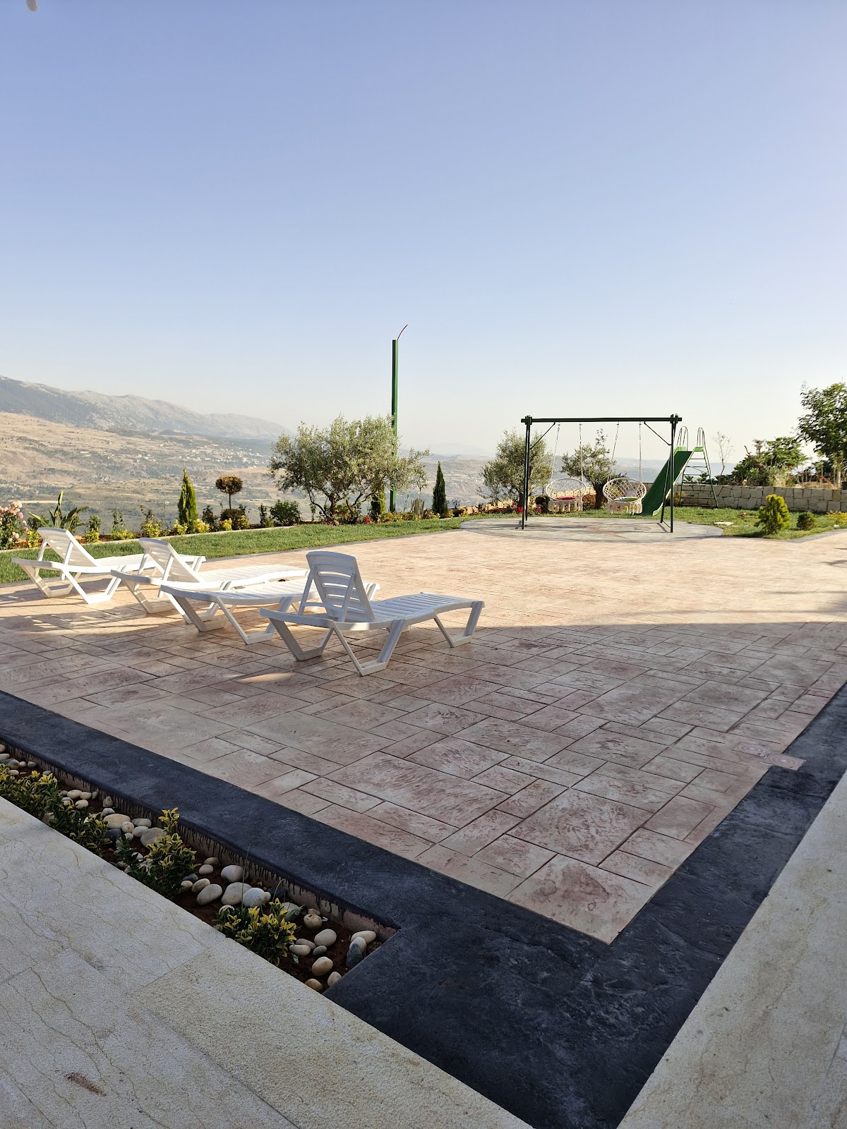 Papilio chalet — photograph 4