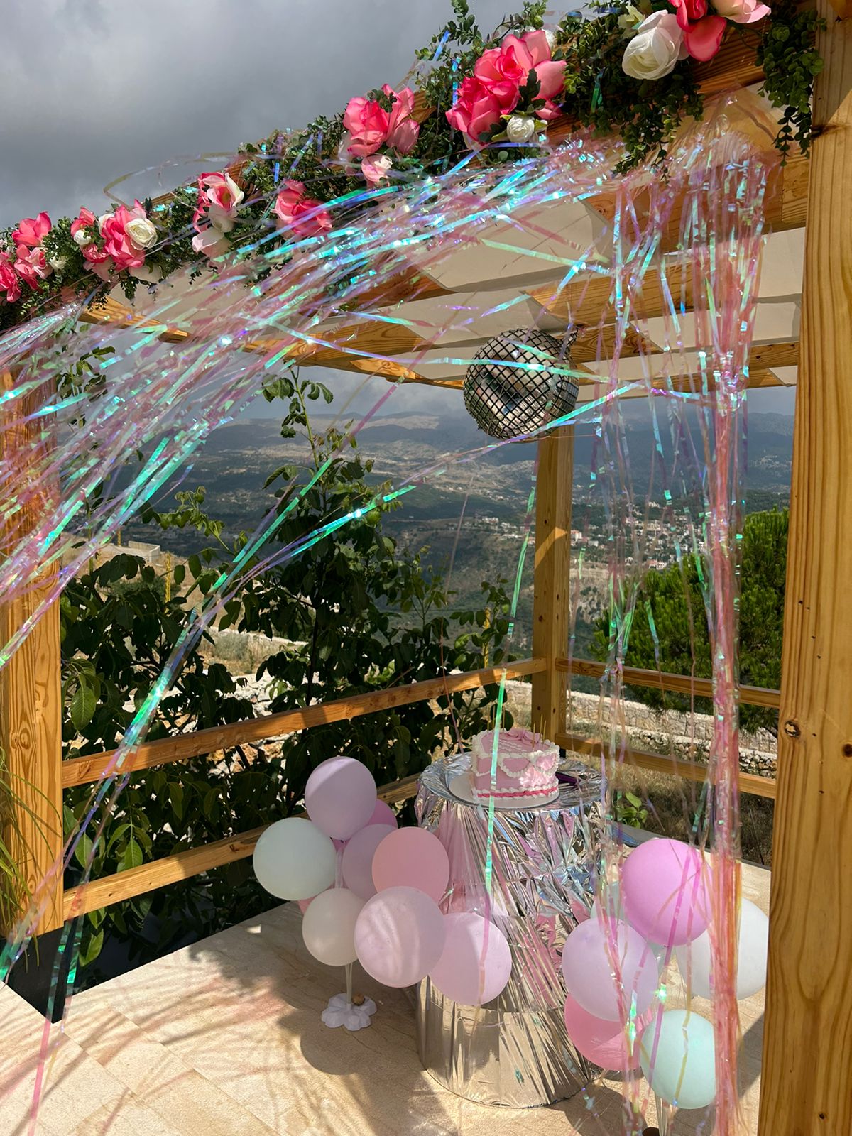 Papilio chalet — photograph 6