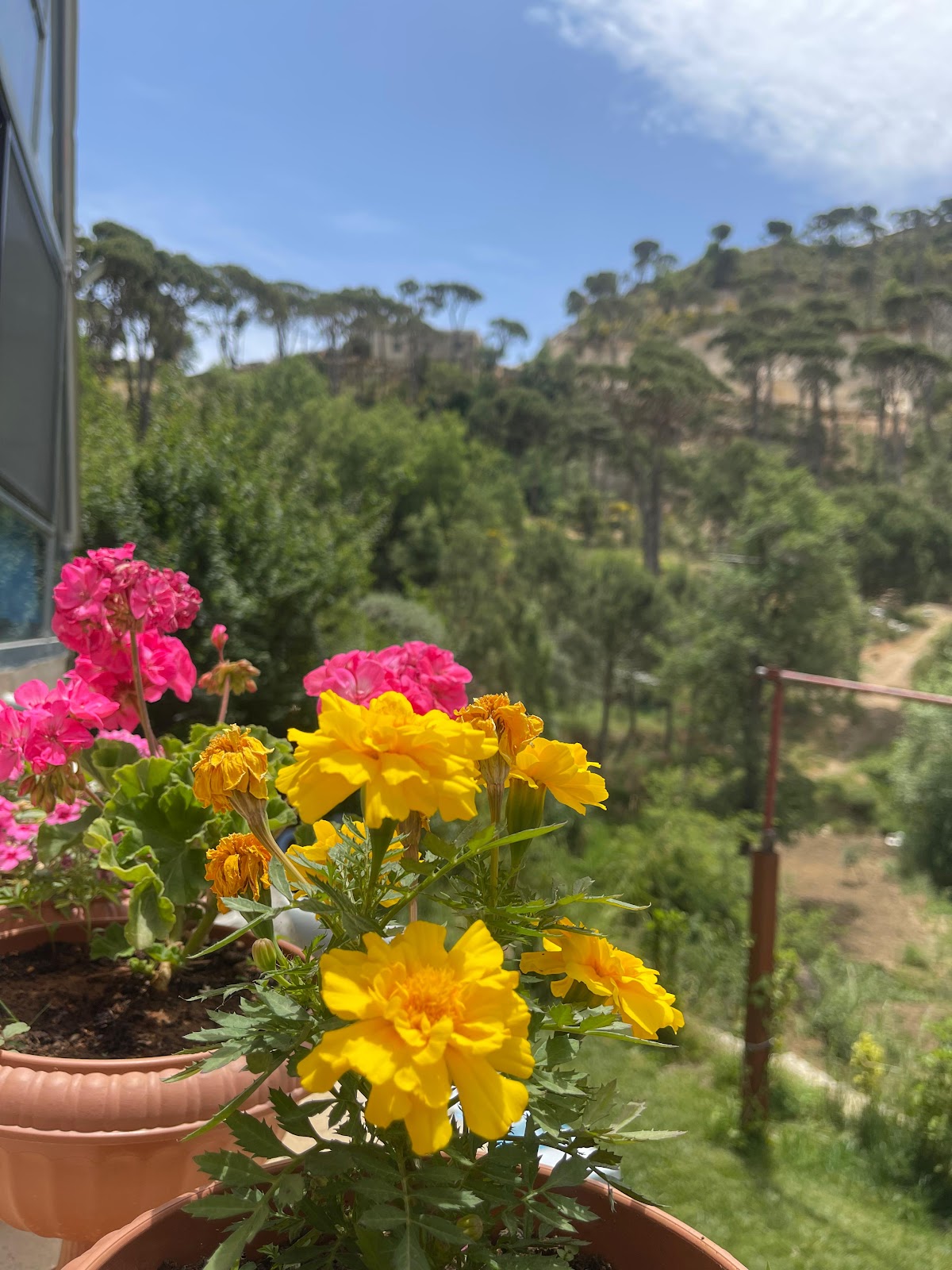Cavalli - La Valley — photograph 6