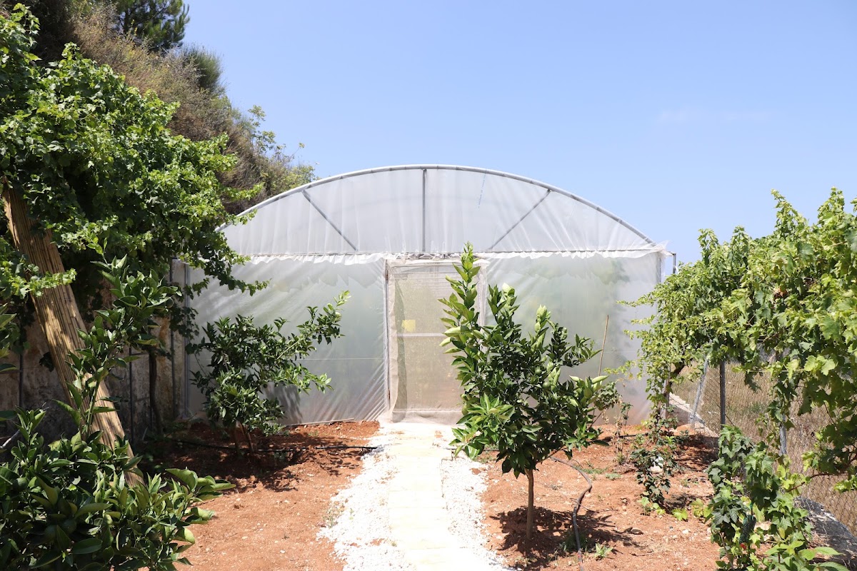 Paradis Vert — photograph 3
