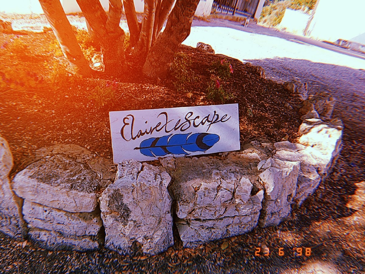 Elainezescape — photograph 6