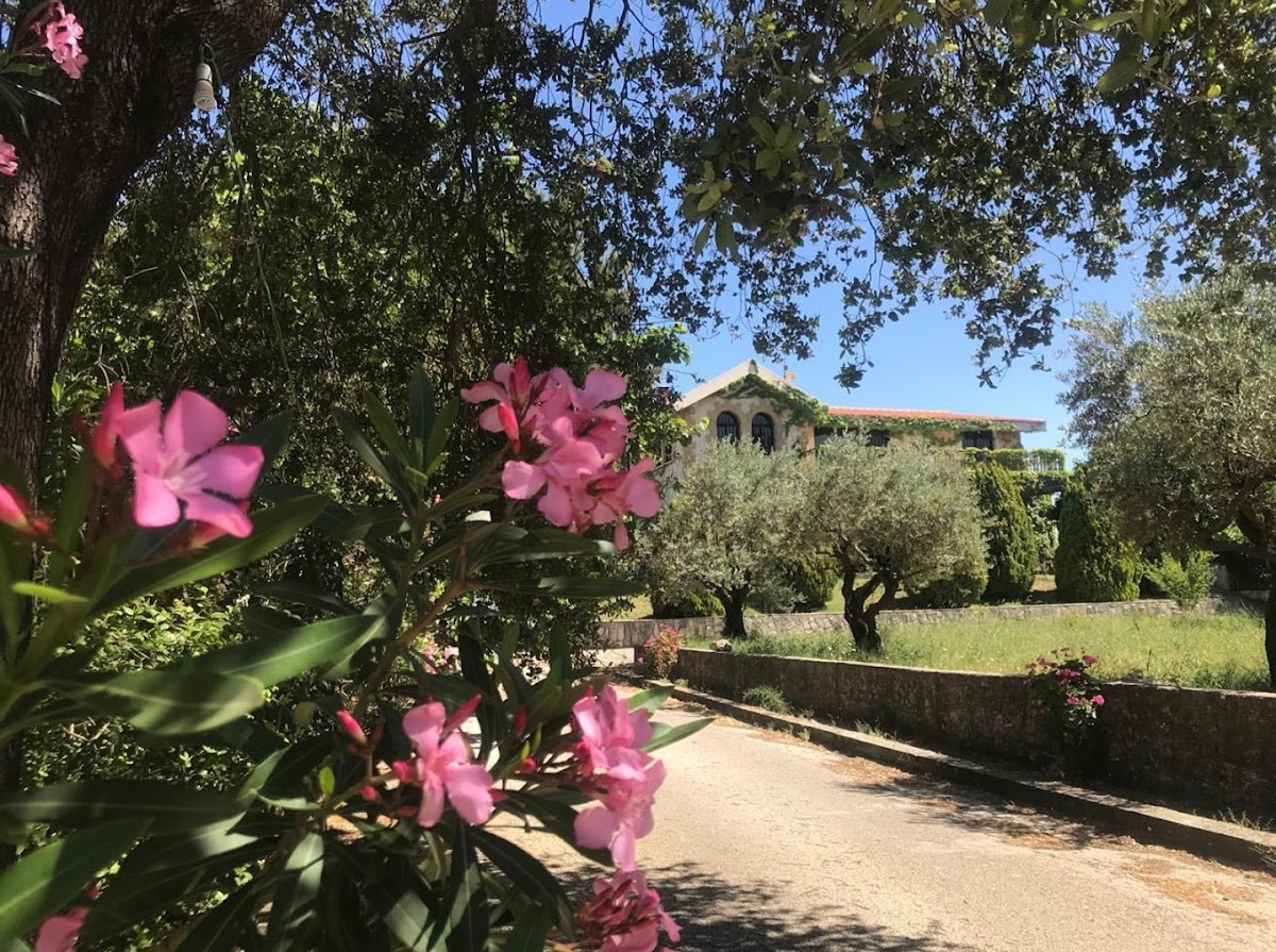 La Maison du Maquis: Batroun Guesthouse with Pool & Garden (Price incl. 10 guests) — photograph 6