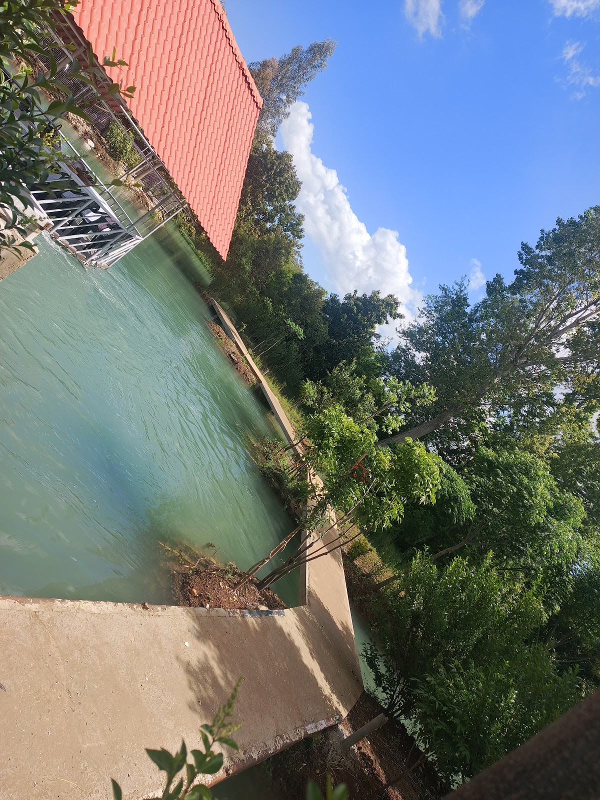 Montazah Saint George — photograph 2